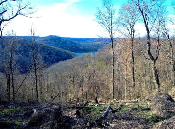 Lola Dr, Smithville, TN 37166