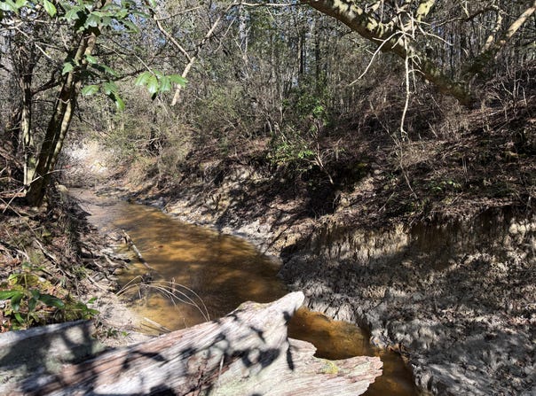 38 AC +/- Indian Hill Rd, Richton, MS 39476