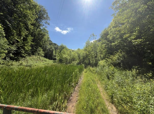 Hickman Fork Rd, Louisa, KY 41230