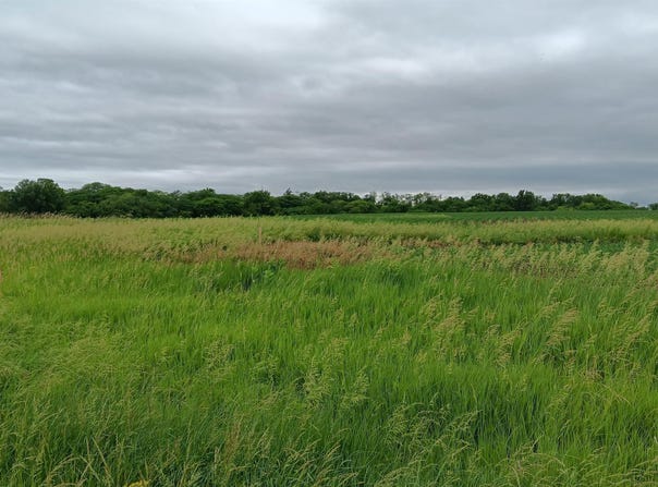 Ash Avenue, Batavia, IA 52533