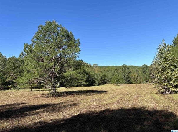 4434 COUNTY ROAD 86 lot: 1, CALERA, AL 35040