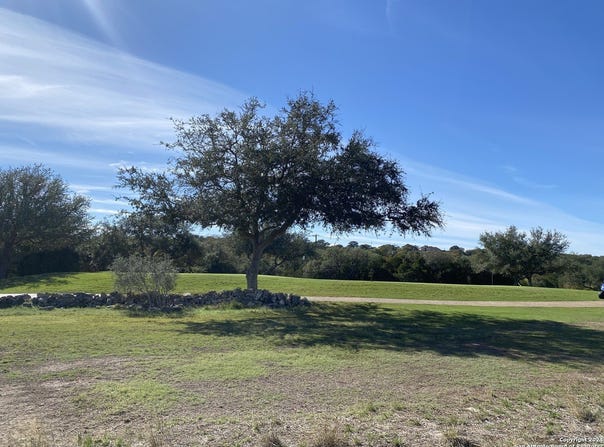 107 N John Bird, Blanco, TX 78606