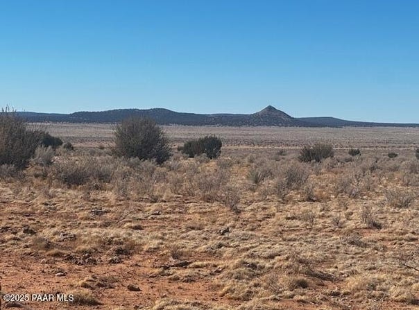 NE Double Back Drive, Seligman, AZ 86337