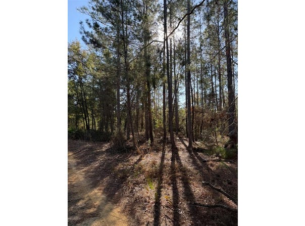 TBT 5TH WAY, INTERLACHEN, FL 32148