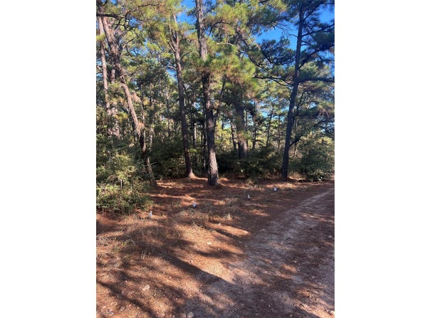 Pine Lodge Dr, Bastrop, TX 78602