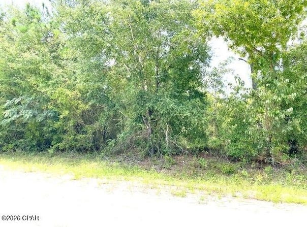 Edison Avenue, Alford, FL 32420