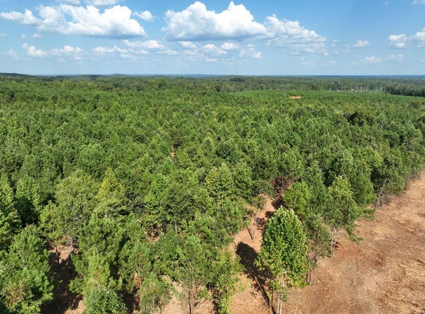 L.V. Road, Wadley, AL 36276