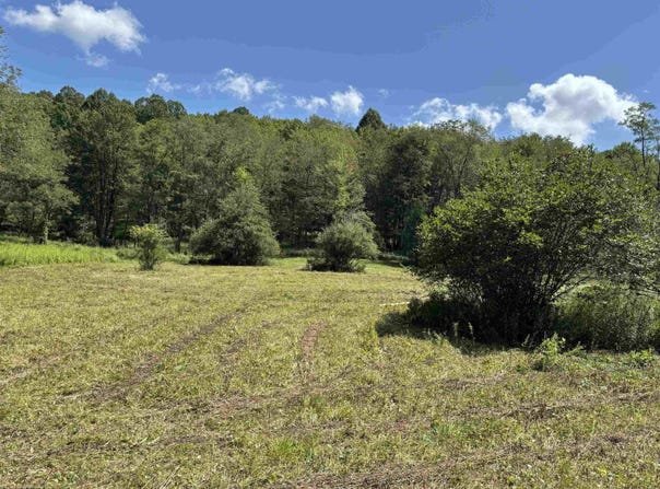 Hunters Fork Road, Belington, WV 26250