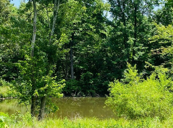 Pittman Road, Maynard, AR 72444