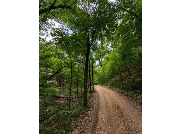 Oak Thicket Lane, Galena, MO 65656