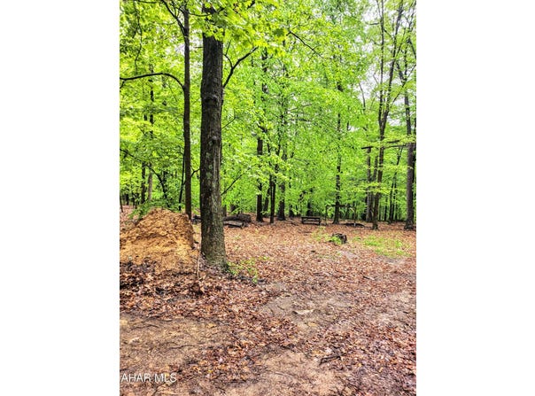 Mosquito Hollow Road, Six Mile Run, PA 16679