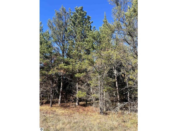 E N Down River Road lot: 364, Grayling, MI 49738
