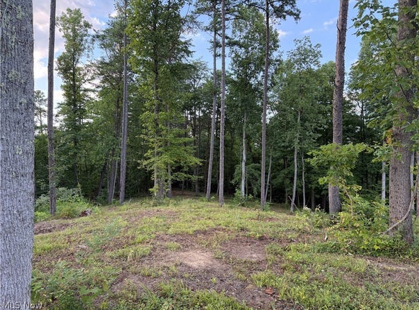 Fisher Ridge Rd, Tract 1, Fleming, OH 45729