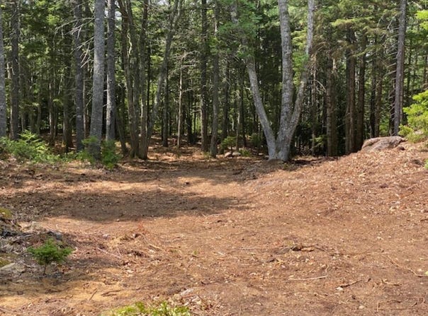 50 Bunchberry Lane, Bristol, ME 04554