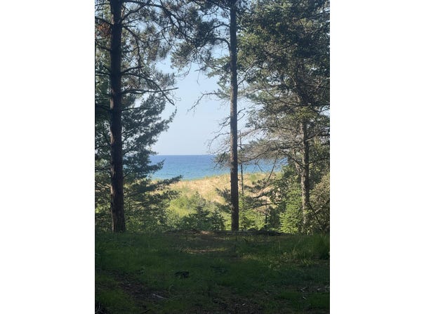 3353 W Michibay Dr, Gulliver, MI 49840