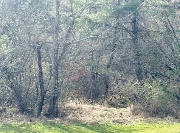 Martin Rd. lot: 2, Max Meadows, VA 24360