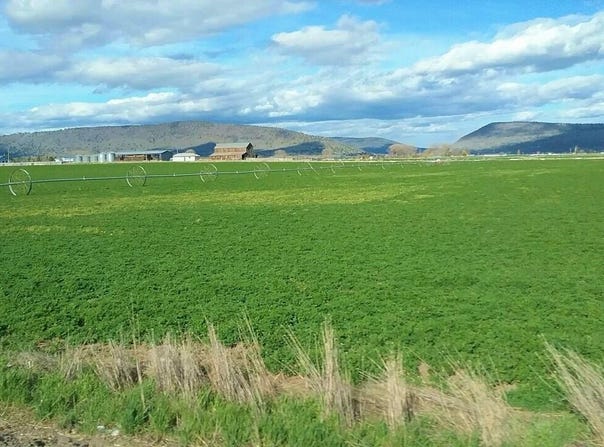 295 Co Rd 149, Lookout, CA 96054