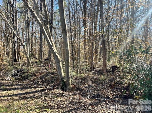 02 Lurecliff Place, Fort Mill, SC 29708