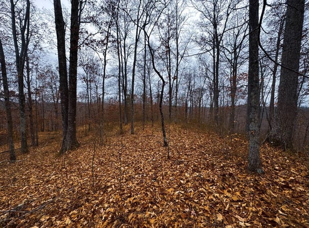 Bear Run, Smithville, WV 26178
