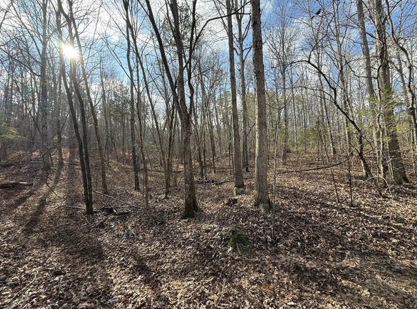 Ottofy Way, Eminence, MO 65466