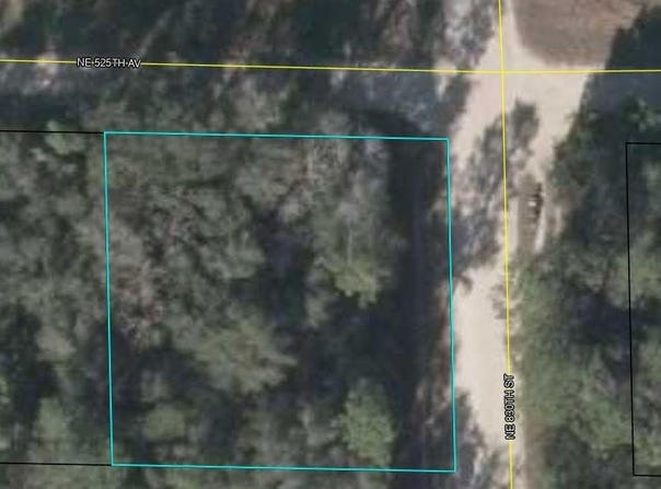 NE 830th St, Old Town, FL 32680