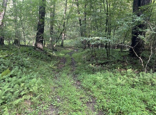 . Valley Drive, Leeper, PA 16233