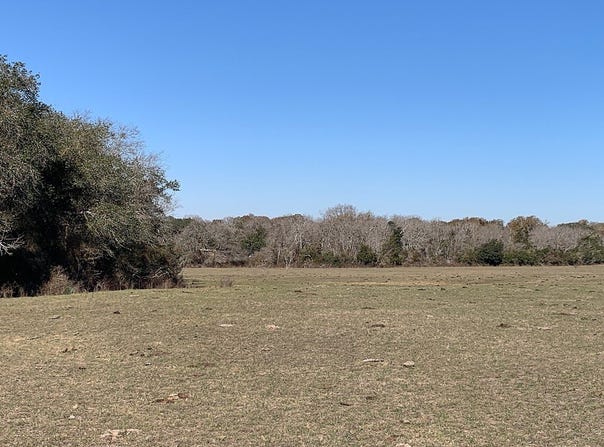 TBD County Road 253, Weimar, TX 78962