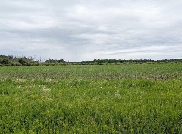 10211 Leander Road, Angora, MN 55703