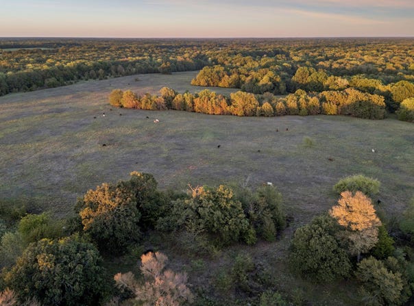 RS County Road 4310, Point, TX 75472