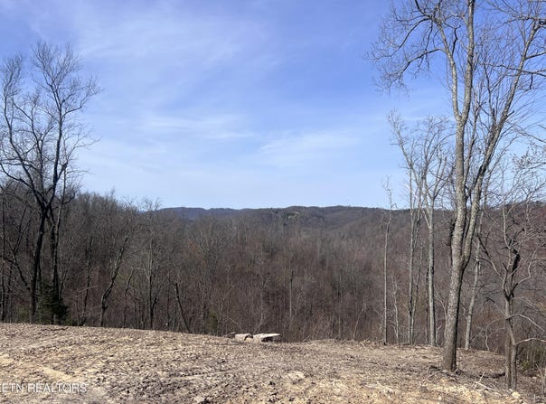 4575 Upper Crab Rd, Jamestown, TN 38556