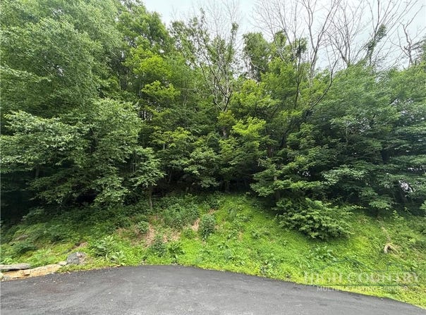 Johns Mountain Road, Vilas, NC 28692
