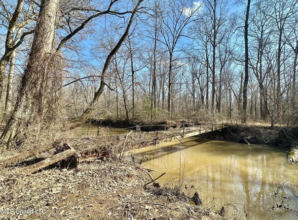 2 Evans Road, Carthage, MS 39051