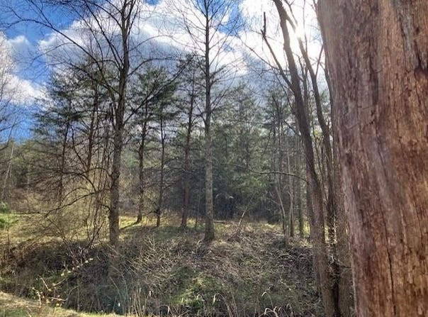 1402 Pierce Rd, Leon, WV 25123