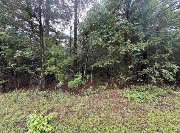 Mitchell Road, Booneville, AR 72927