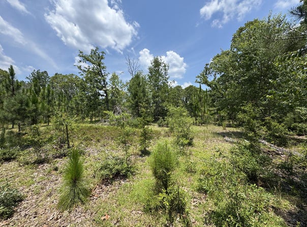 174 Hard Luck Lane, Windsor, SC 29856