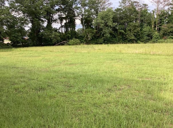 1253 S Forest Ave, LUVERNE, AL 36049