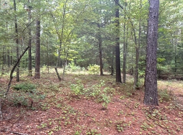 CR 1131, Linden, TX 75563