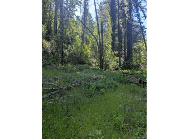 Skaggs Springs Road, Geyserville, CA 95441