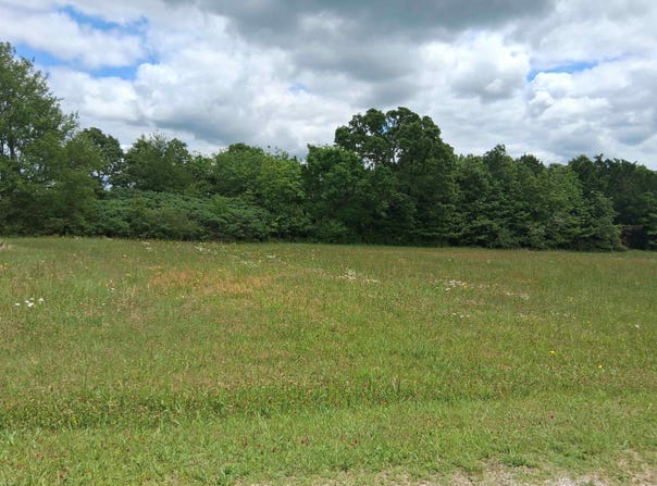 206 MEADOW VIEW DR, Mountain View, AR 72560