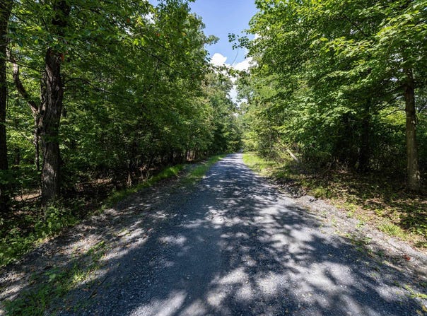 SUPINLICK RIDGE RD, BROADWAY, VA 22815