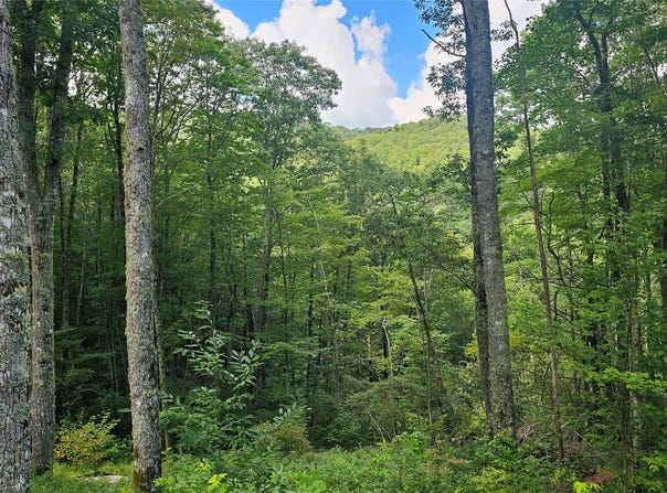 C25 Roaming Road lot: C25, Glenville, NC 28736