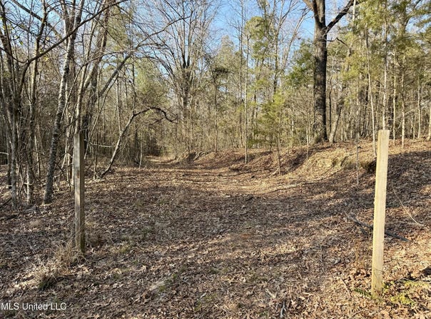 Attala Rd 4136, Sallis, MS 39160