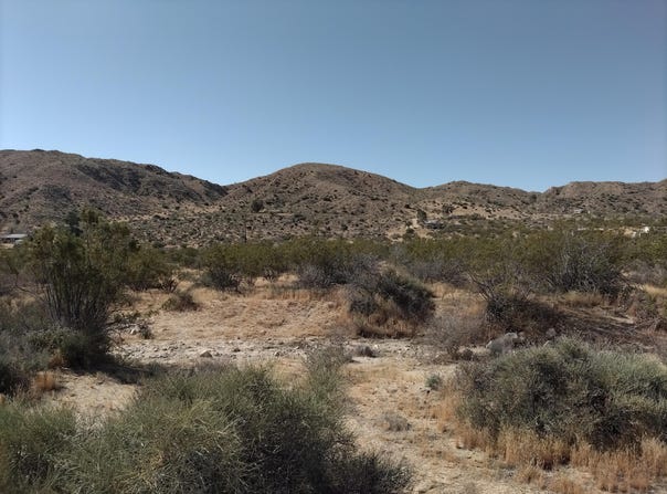Canyon Road, Morongo Valley, CA 92256