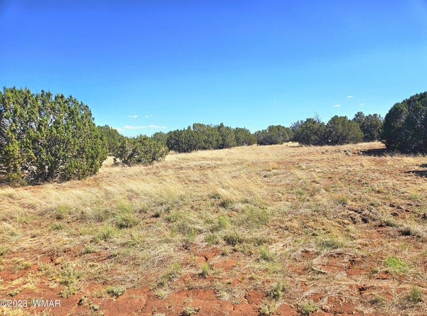 20 CO Road, Concho, AZ 85924