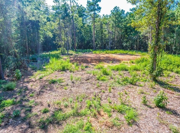 445 County Road 061, Jasper, TX 75951
