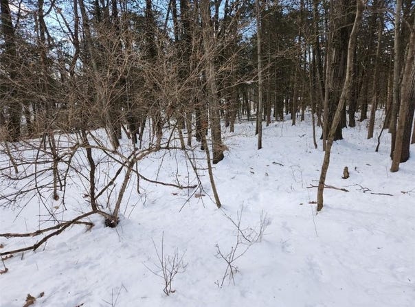 Shaw Rd off Oxford, Blooming Grove, NY 10914