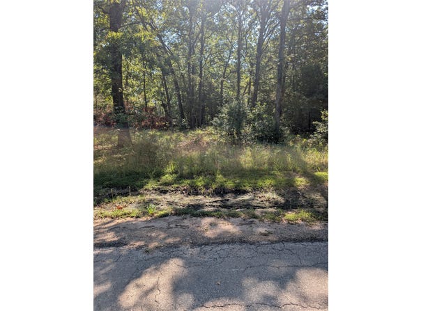 202 Chillacothe Trail, Mabank, TX 75156