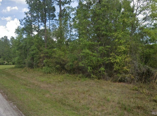 103 Glenside Street, Georgetown, FL 32139