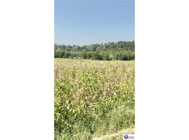Green River Lane lot: #30B, Campbellsville, KY 42718