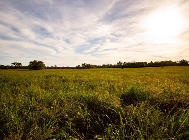 E 1570 Road, Jerico Springs, MO 64756